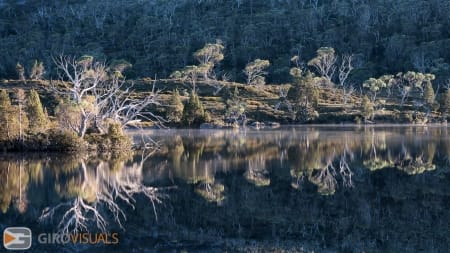 Tasmanian Reflections
