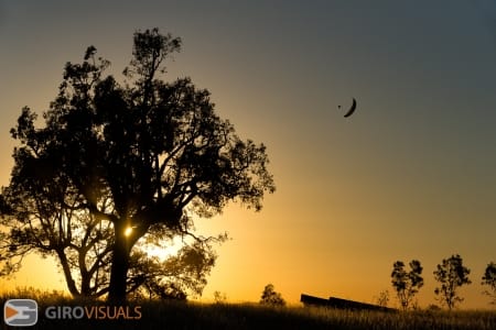 Last flight of the Day