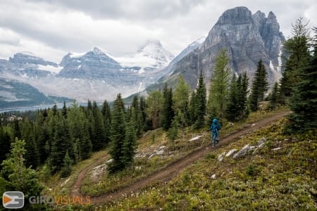 Canada Wild