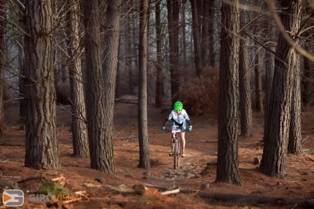 Majura Pines Magic